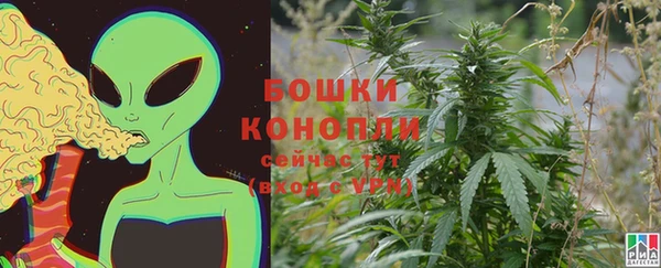 ГАЛЛЮЦИНОГЕННЫЕ ГРИБЫ Беломорск