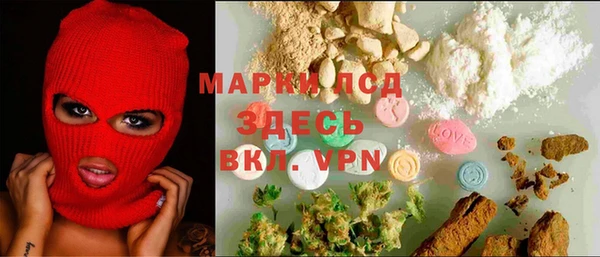ГАЛЛЮЦИНОГЕННЫЕ ГРИБЫ Беломорск