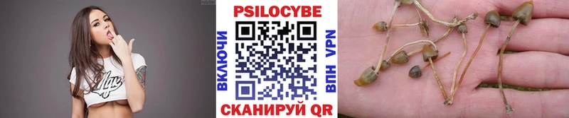 Псилоцибиновые грибы прущие грибы  как найти   Невель 